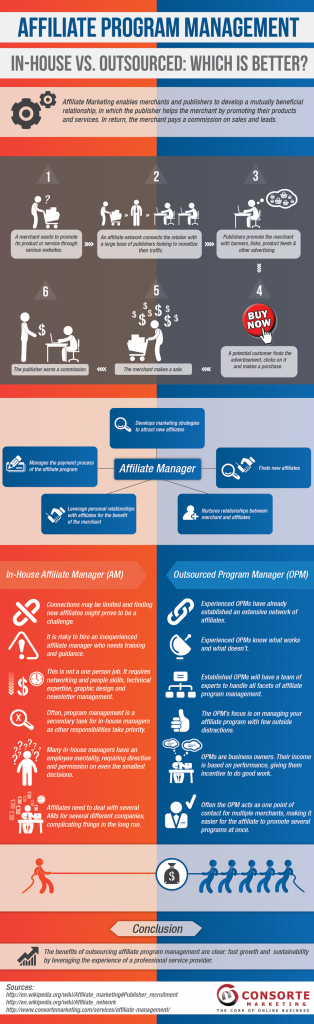 Affiliate Program Management Infographic
